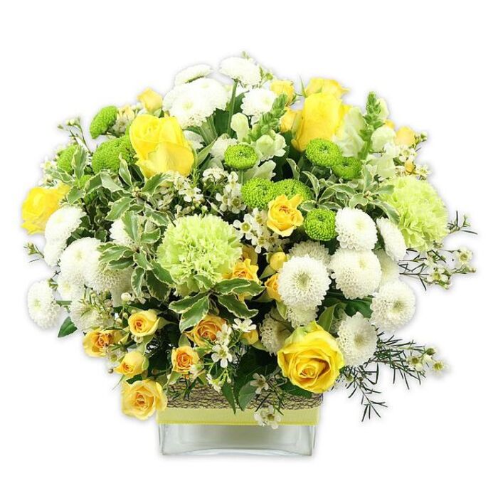 A vibrant, garden-fresh arrangement in shades of yellow, white, and green is styled in a clear, rectangular glass vase, the whole design photographed against a white backdrop that makes the colours appear especially bright and true. At the centre of the bouquet, several yellow roses unfold in layered, velvety spirals, some fully open and others just beginning to reveal their inner whorls, suggesting new beginnings and gentle celebration. Tucked among them are tiny clusters of yellow spray roses, each stem carrying multiple petite blossoms that lend a sense of abundance and natural movement, like a sunlit border along a path in Beddington. White pompom chrysanthemums, tightly packed with petals, form dense, spherical blooms that contrast with the looser shapes of the roses, creating a pleasing balance of structure and softness. Scattered throughout are lime green button chrysanthemums, small and perfectly round, their vivid green echoing the freshness of early spring foliage. Larger, airy blooms in pale green, reminiscent of frilled carnations or speciality green chrysanthemum varieties, add volume and a gently ruffled texture around the dome of the design. The arrangement is generously padded with foliage: some leaves are broad and variegated with creamy edges, others slender and deep green, giving layers of tone that frame the brighter flowers. Around the middle of the vase, a band of rustic, woven natural material hugs the glass, topped with a smooth lime green ribbon tied horizontally, adding a handcrafted yet contemporary detail. The overall mood is one of warmth, clarity, and hope, making this an ideal floral piece for celebrating milestones, sending congratulations, or brightening a home or office near Beddington Village, Hackbridge, or the tree-lined stretches close to the local nature reserve.