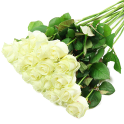 WHITE ROSES SERVICE ARRANGEMENT