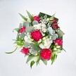 A rich, top-down view of a full, rounded bouquet showcases a joyful mix of hot pink, white, and fresh green, as though it has just been placed on a bright table in a Beddington sitting room. At the heart of the design, large hot pink carnations are ruffled and plush, their many layered petals creating a sense of movement and depth, almost like little silk tutus spinning in place. Between them nestle deep pink and fuchsia roses, some fully opened to reveal elegant spirals of velvety petals, others still in tight buds promising more colour in days to come. Clusters of tiny white spray chrysanthemums form soft, cushiony mounds that lighten the palette, joined by dainty clouds of white gypsophila, whose airy sprigs give the bouquet a gentle, romantic haze. A few slender white buds, reminiscent of alstroemeria or lily blooms, peek through with slim, pointed tips, adding poise and a feeling of quiet refinement. All of this colour is anchored by a generous collar of foliage: cool, silvery-green eucalyptus leaves with their rounded, waxy discs; long, bright green blades that arch gracefully; and broader, darker leaves, likely folded aspidistra, that create a structured frame around the flowers. The clean white background makes every shade appear crisp, as if lit by soft daylight filtering over Beddington Park. The bouquet's mood is upbeat yet tender, perfect for celebrating milestones, sending congratulations to a neighbour off Croydon Road, or offering an affectionate surprise. Even without scent, the arrangement seems to breathe freshness, like a floral hug captured in a single, carefully crafted design.