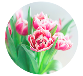 Same day Flowers Beddington 